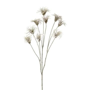 Semillas de clemátide artificiales HARWAY, gris, 70 cm, Ø 7 cm
