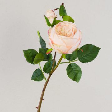 Rosa repollo artificial MIRETTA, rosa-verde, 60cm, Ø3-9cm