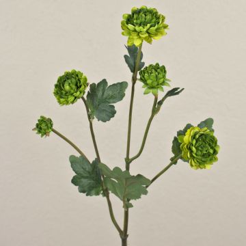 Crisantemo artificial RYON, verde, 70cm, Ø3-5cm