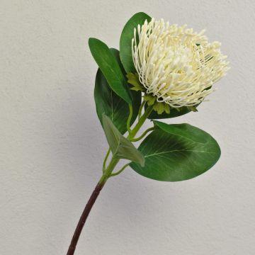 Flor falsa protea TANJA, creme-blanco, 65cm