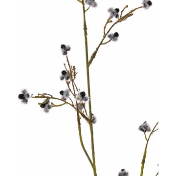 Stirlingia latifolia artificial COLLAN, blanco-negro, 85cm