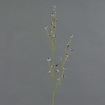 Stirlingia latifolia artificial COLLAN, blanco-negro, 85cm