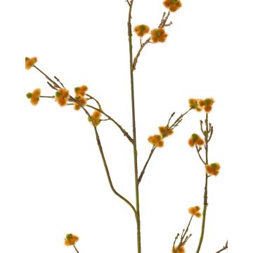 Stirlingia latifolia artificial COLLAN, naranja, 85cm