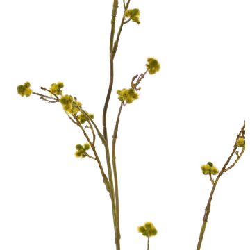 Stirlingia latifolia artificial COLLAN, verde-amarillo, 85cm