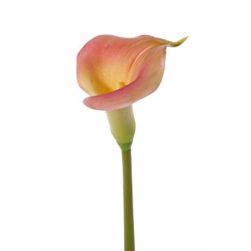 Calla artificial MIRAC, rosa-amarillo, 75cm, 13x15cm