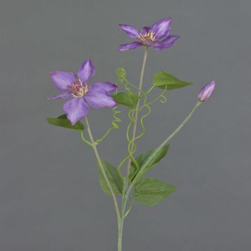 Clematis artificial DORAN, violeta, 75cm, Ø13cm