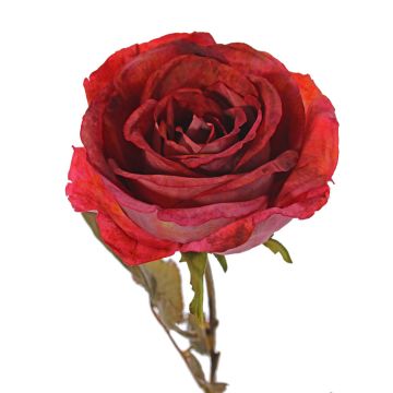 Rosa artificial NAJMA, rojo, 65cm, Ø11cm