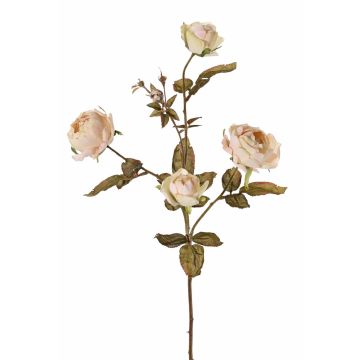 Rama de rosas artificial SITARA, crema, 75cm, Ø5-8cm