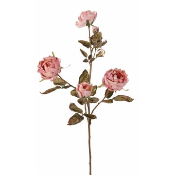 Rama de rosas artificial SITARA, rosa antigua, 75cm, Ø5-8cm