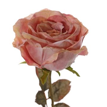 Rosa artificial NAJMA, rosa antigua, 65cm, Ø11cm
