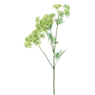 Rama decorativa de zanahoria silvestre FLAWA, verde claro, 65 cm