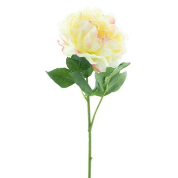 Flor decorativa de peonía CORDOBA, amarillo claro, 55 cm