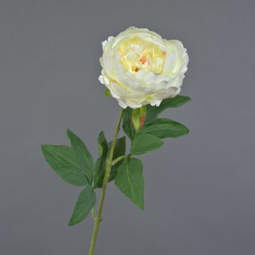 Peonía artificial TALFY, crema, 65 cm