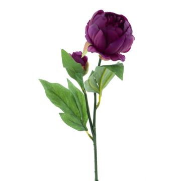 Flor de tela peonía TESNI, violeta oscuro, 50 cm