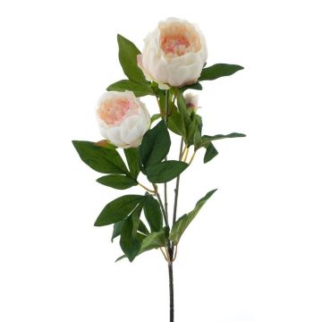 Rama decorativa de peonía THEMIA, color crema-rosa, 65 cm