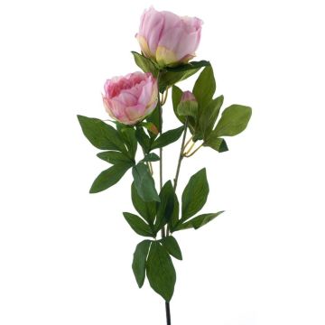 Rama decorativa de peonía THEMIA, rosa, 65 cm