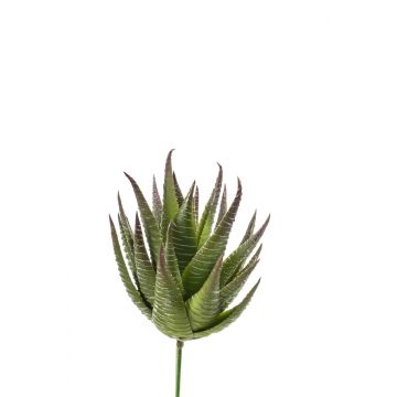 Aloe Aristata artificial GABRIELA en rama, verde, 15cm, Ø10cm