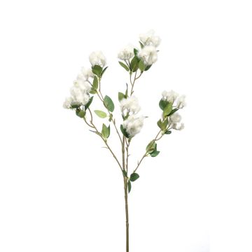 Rama falsa de populus CALP con flores, crema, 65cm