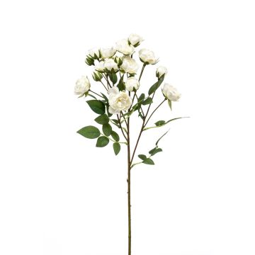 Rama de rosas falsas TOSSA, blanco, 55 cm