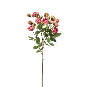 Rama de rosas falsas TOSSA, rosa-verde, 55 cm