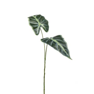 Rama falsa de alocasia sanderiana LAFRANC, verde, 55cm