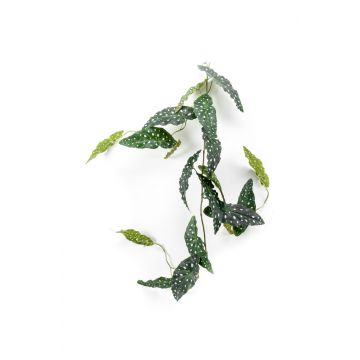 Guirnalda de begonia maculata artificial JOELLE, verde-blanco, 120cm