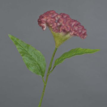 Cresta del gallo artificial ANUBIS, rosa, 60cm, Ø13cm