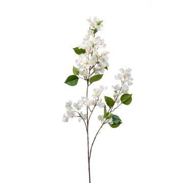 Rama falsa de bougainvillea MONELS con flores, crema, 115cm
