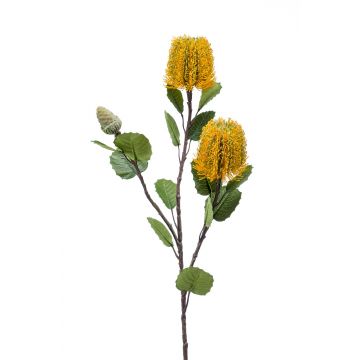 Banksia artificial CONAKIR, amarillo, 70cm
