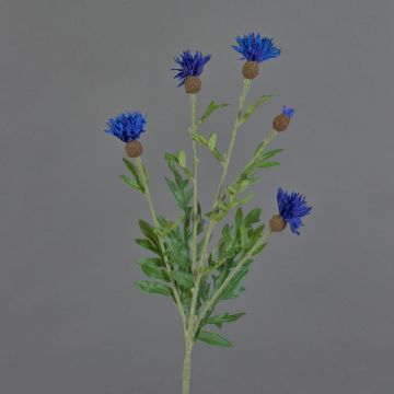 Aciano artificial ORTIGO, azul, 60cm
