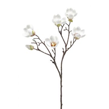 Magnolia de plástico ANEU, crema, 65cm