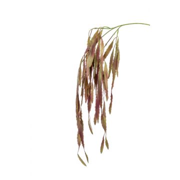 Rama falsa de rhipsalis EHUD, marrón-lila, 80cm
