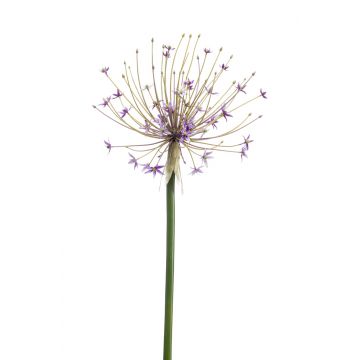 Allium de plástico GETARIA, lila, 105 cm