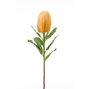 Banksia artificial YUSTE, crema-naranja, 65cm