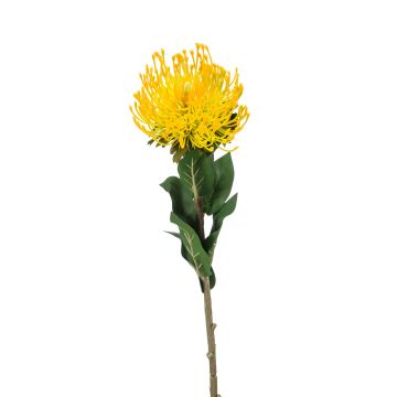 Protea decorativa HERVAS, amarillo, 70cm