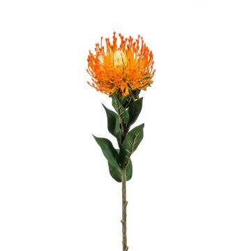 Protea decorativa HERVAS, naranja, 70cm