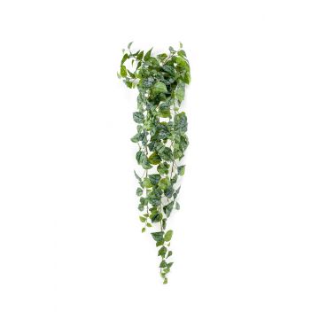 Hypoestes phyllostachya artificial ALANGE en varilla de ajuste, verde-blanco, 120cm