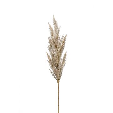 Rama falsa de hierba de la pampa con panícula BATERNO, crema, 90cm
