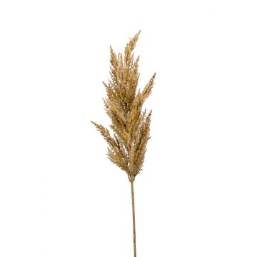 Rama falsa de hierba de la pampa con panícula BATERNO, marrón claro, 90cm