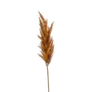 Rama falsa de hierba de la pampa con panícula BATERNO, marrón, 90cm
