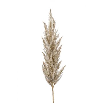 Rama falsa de hierba de la pampa con panícula BATERNO, crema, 115cm