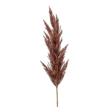 Rama falsa de hierba de la pampa con panícula BATERNO, marrón oscuro, 115cm