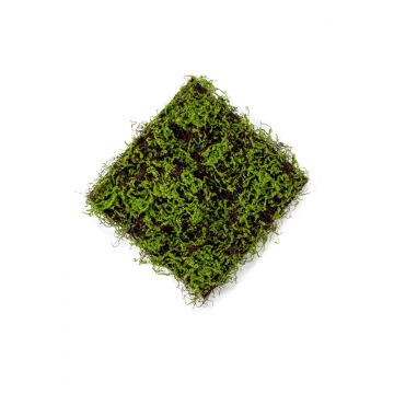 Estera de musgo artificial MIRANDILA, verde, 50x50cm