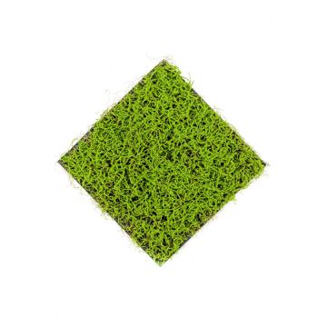 Estera decorativa de hierba juncus effusus NOGALES, verde, 50x50cm