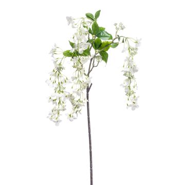 Hortensia trepadora decorativa MAIGMO, crema, 120cm