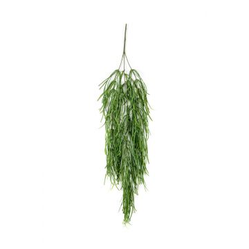 Planta colgante de rhipsalis falso TALIGA en varilla de ajuste, verde, 80cm
