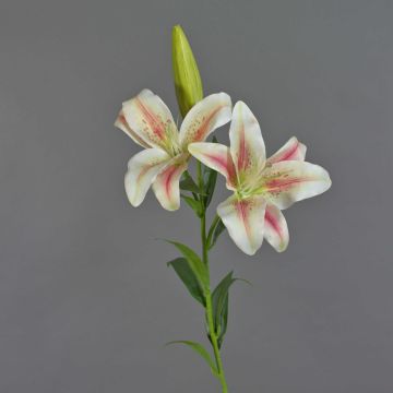 Lirio de tigre decorativo NAVIA, blanco-rosa, 90cm