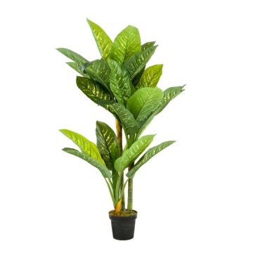 Dieffenbachia artificial SARIEGO, verde, 150cm