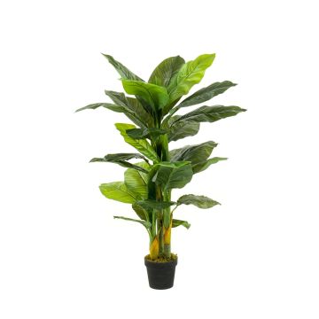 Spathiphyllum artificial SIERO, verde, 130cm