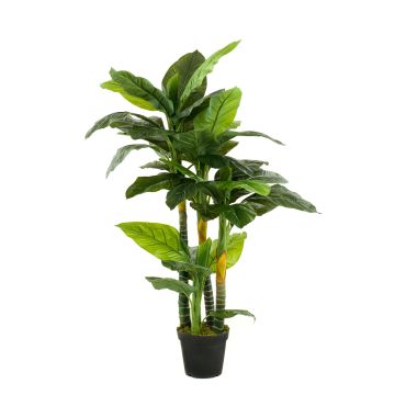 Spathiphyllum artificial SIERO, verde, 160cm